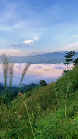 ⛰️☘️☁️🍃คิดฮอดเจ้าหลายยามสายลมแว่วมา😊#ธรรมชาติ #วิวธรรมชาติสวยๆ #โอบกอดเขา #ลมหนาว 
