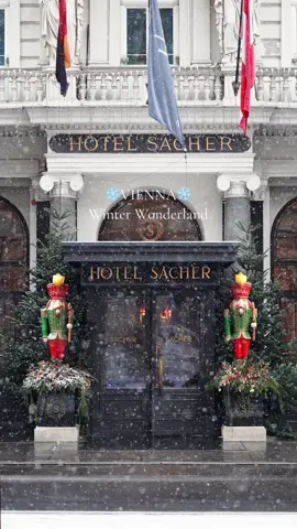 ❄️ Vienna Winter Wonderland❄️ ✨Wishing for a snowy Christmas in Vienna, where the magic of the season dances through the snowflakes, echoing the melody of ‘Somewhere in My Memory.’ 🌨️🎶🤍 📍Hotel Sacher 🍰 📍Kärntnerstraße 🎀 📍Café Central ☕️ 📍Christkindlmarkt Rathausplatz 🎠 📍Ferstel Passage ⛲️ 📍Wiener Rathaus 🎄 📍Kärntnerstraße 🌨️ 📍Universitätsring 🚋 Come visit Vienna 🤗 #snowy #vienna #austria #christmas #winterwonderland #christkindlmarkt #rathausplatz #snow 