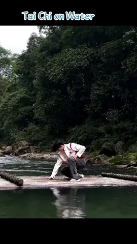 Tai qi!!!!!#taiqi #taiqiudi #fypシ #chinesetaiqi#newedit 