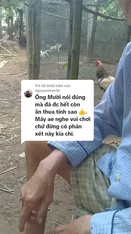 Trả lời @nguyenmen56 c,on a nhiều 🥰 ông mình nói có gì không đúng mong ae bỏ qua nha, những ae mà mình chưa tl được ae thông cảm cho mình nha 🥰