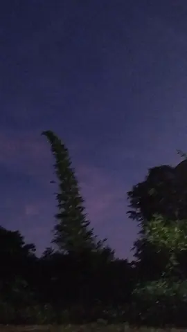 buổi tối chill chill#xaiatohuyeniagrai 