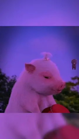 Nếu cuộc đời khiến cho mình thấy mệt mỏi quá, thì thôi mình đi nhậu 🍻 .. #nhachaymoingay #stthaymoingay #xuhuongtiktok #buon_tam_trang 