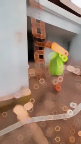 #wallmoulding #catduco 