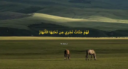 ﴿ ذَٰلِكَ الْفَوْزُ الْعَظِيمُ ﴾ #قران #محمد_ايوب #تلاوة_خاشعة #صدقه_جاريه #استغفرالله #ادعيه 