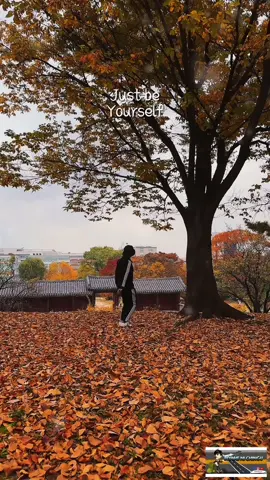 Just live your life and be happy.😘  @Dion Bañaga 🇵🇭 🇰🇷  📍Changyeonggung Palace,Seoul City #capcutvelocity #fyp #trending #reelsinstagram #viralvideos #reelsvideo #trendingvideo #capcut #muslim #algerian  #algerian🇩🇿  #trendingreels  #southkorea #seoul  #oppa  #korean  #koreanoppa 