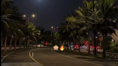 Noriel | Diablita 🙈🔥  #noriel #canciones #indirectas #rolas #paratuestadodewsp #paradedicar #grabatucara #lyrics #viral_video #foryoupage #Viral #fyp #parati 