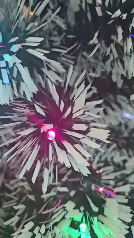 Christmas trees in store now 😁 ON SALE THIS WEEKEND 🔥 3ft $30 5ft $85 6ft $175 7ft $299 