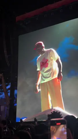 i did in fact CRY. still cant believe i witnessed this. #campfloggnaw2023  #tylerthecreator #cfg #seeyouagain 