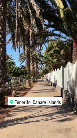 #tenerife #paraiso #españa #morning #canaryislands 
