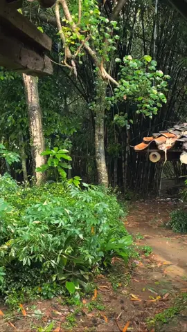 vibes nya hujan pagi