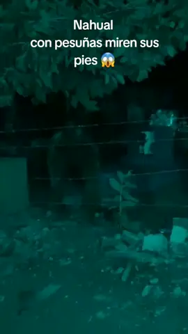 #parati #fyp #terror #paranormal #nahual #viral 