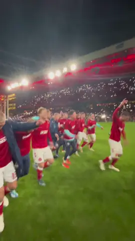 VI SKAL TIL EM 🇩🇰🏆 #herrelandsholdet #denmark #national #team #parken #EURO2024 