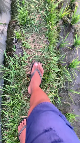 rasakan abadi pokoke#xyzcba #rasakanabadi 