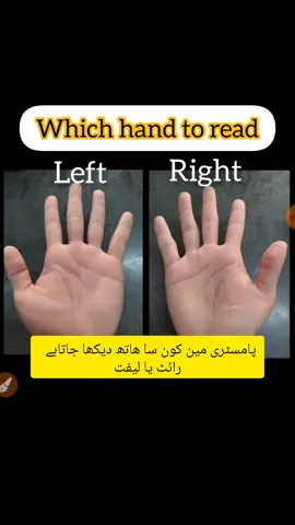 which hand to read right or left #palmistry #fyp #foryou 