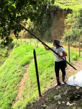 Que nombre  le ponemos🥰#graciasporsuapoyo🌺🙏 #mischuchunqueñitos @la chuchunqueñita ❤️ 