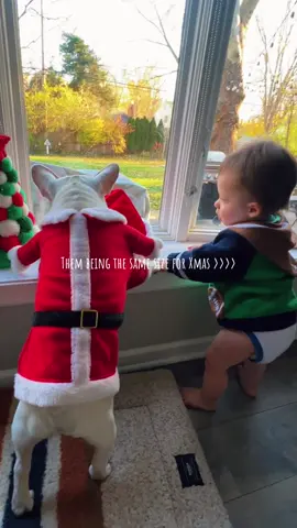 🥰🎄🎅🏽 #christmas #christmascameearly #dogandbaby #babyboy #frenchie #frenchiesoftiktok #bestfriend #BestFriends #lucky #blessed #fyp #fypage #fypシ゚viral #xmas #xmas2023tiktok😘😘🥰🥰 #xmas2023 #frenchielife #babyfever #babytok #sahmlife #sahm #sahmsoftiktok #MomsofTikTok #momlife #momtok #happy #happyvibes #funny #funnyvideo #silly #family 