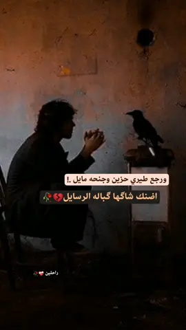 #عبارتكم #ذواقين__الشعر_الشعبي #فراق_الحبايب💔 #رحلوا_وبقت_ذكراهم😔 #عبارتكم_فخمة🖤💉🥀 #شعراء_وذواقين_الشعر_الشعبي #الصوره_تقول_🥀🖼️ 