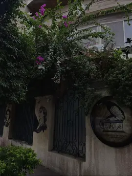 غلبتني وياك كده ليه😍#kenzyshref #foryoupage #fypシ゚viral #fyfyfyfyfyfyfyfyfyfyfyfyfyfyfyfyfyfy #fybシ #CapCut #xplore #fyb #foryou #fypシ゚viral 