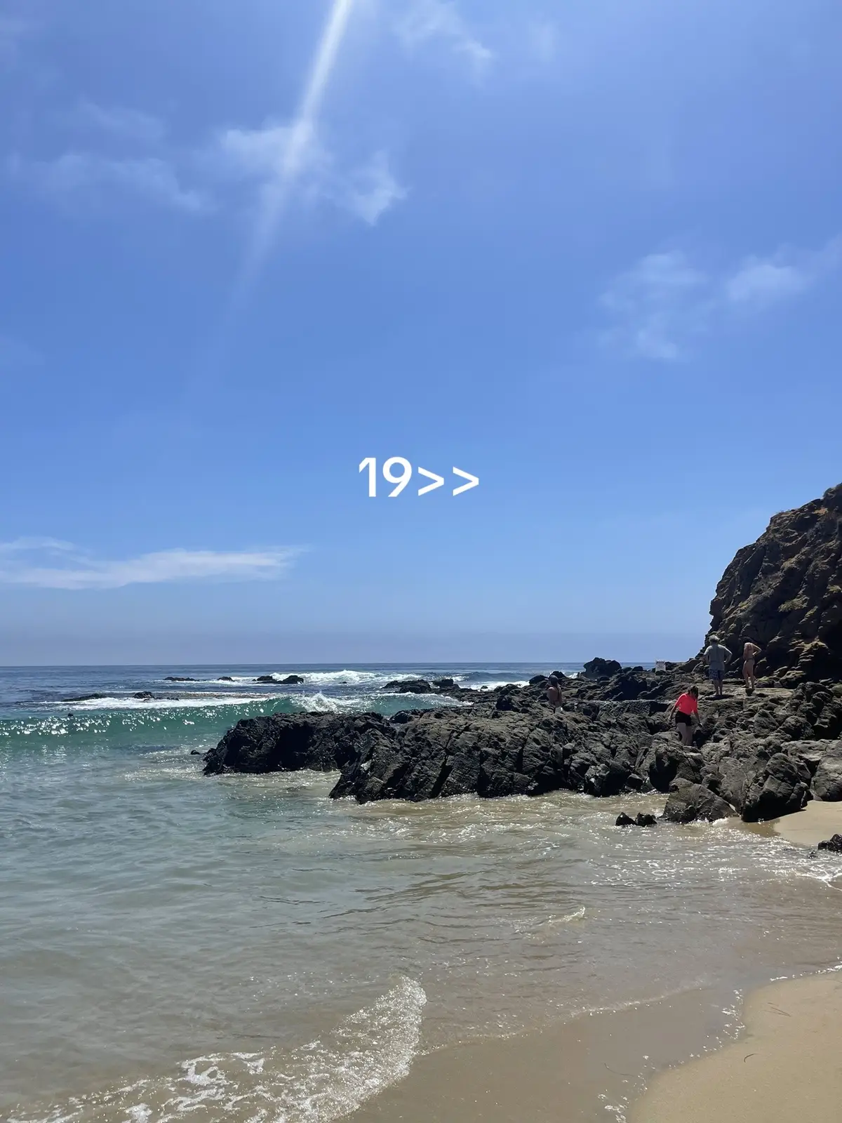 #kitty #meowmeow #cat #collegecat