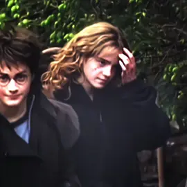 #hermionegranger #harrypotter #emmawatson 