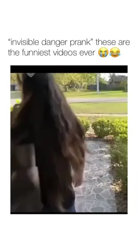 video funny & cute  #funnyvideos #meme #cute #fyp #viral #humor #usa 