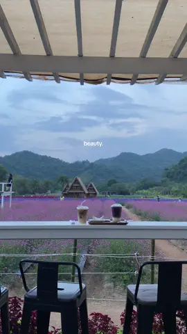 📍Cameron Highland 🥶