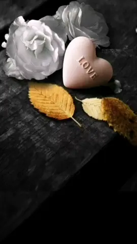 #صباحي_انت_بكل_تفاصيلك 