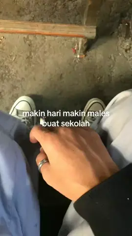 #podo males r