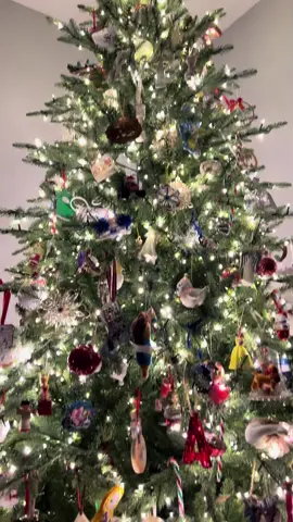 It took a lot. Calling all the Home Depot’s on Long Island visiting multiple, but I finally got her…. Hello Grand duchess. #viraltree #granddutchess #viralchristmastree #homedepot #viralhomedepotchristmastree 