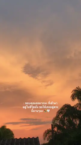 : อยู่กับฉันนานๆนะ🤍💐#เธรด #เธรดคลั่งรัก #แท็กแฟน #ยืมลงสตอรี่ได้ #สตอรี่_ความรู้สึก #ท้องฟ้า #fyp #ฟีด 