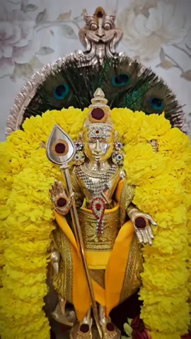 Skandha Sasti Viratham Soorasamhaaram Dharisanam 💛🦚 #soorasamhaaram #muruga #muruganthunai #murugasaranam #vetrivelmuruganukkuarogara #veeravelmurugankuarogara #kandhavel_muruganuku_arogara #kandhan #kandhasastikavasam 