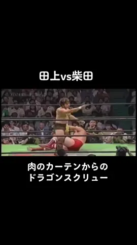 #新日本プロレス  #ノア #全日本プロレス #田上明