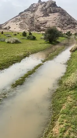 يالله بغيث مبكرتن تباشيره #ربيع_جبال_قطن_1445  #جبال_قطن_غرب_القصيم😍 