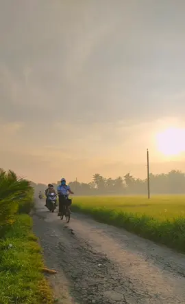 Mời em về thăm quê anh #cảnhđẹpmiềntây 