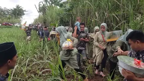 mengantar pengantin menikah  #lucu #nikah #pernikahan #pengantar #musimhujan #becek #sawah 