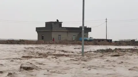 #الجزيره_السياحية #امطار#فيضانات #سيول_امطار #الغربيه_واهل_الغربيه #فيضان