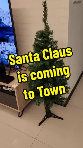 120cm Christmas tree from the green party @ $12.90 (Their tree seem more dense) Christmas ornaments @ $16.90 Other lights & deco may get from Daiso $2.16 🎄🎉 Xmas is coming to town 🎅 . . . . . . . . . . #sgfyp #sgfypシ #sgtt #sgtt_family #sgtok #christmas #xmas #decoration  #christmastree #christmastiktok #Love #xmasfeeling #christmasdeco #santa  #memories #xmasfeelings