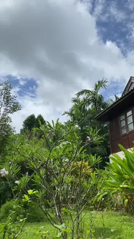 A sunny day in #wareerakhotspringandwellness 🌳✨ #wareerakhotspringretreat #Wareerak #Krabi #คลองท่อม #Klongtom 