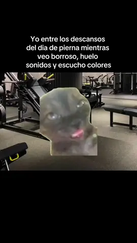 #fyp #viralvideo #GymTok #parati #gymmemes 