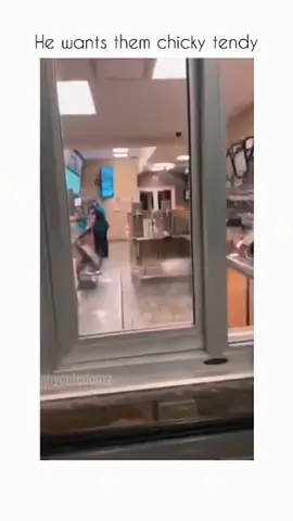 Funny and cute dog compilation 🤣 #funnydog #funnypet #dogsoftiktok #doglover #dog 