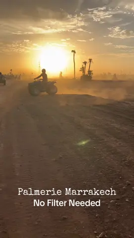 Palmerie Marrakech  #marrakech #palmeriemarrakesh #morocco #المغرب #مراكش #المغرب🇲🇦تونس🇹🇳الجزائر🇩🇿 #viral #fyp 