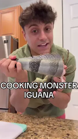 If you say it doesn’t look good you’re lying to yourself… #iguana #iguanas #floridaiguana 