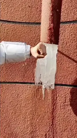 I got a.cold chill down my back when i found this one #pimple #pop #satisfying #fyp 