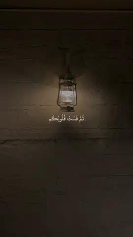 تدبروا الآيات🤍#قران #مشاري_العفاسي #قران_صلي_علي_النبي 