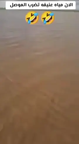 يول انجت 😂متتت #فيضانات #تحشيش_للضحك😂 #foryou 