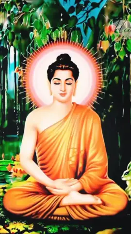 nhạc thiền Phật giáo tinh tâm yên bình may mắn