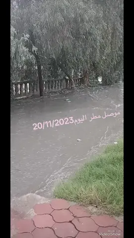 ولي دادا #موصلنا❤ #اعمار_الموصل #موصل_العراق #اغرق_  @ᘓɹ̇᎗ɹ̤᎗ɹɹɹᓗ  @mosul_insta #نجم_الجبوري_فخرنا_محافظ_نينوى @Albasheer Show - البشير شو 