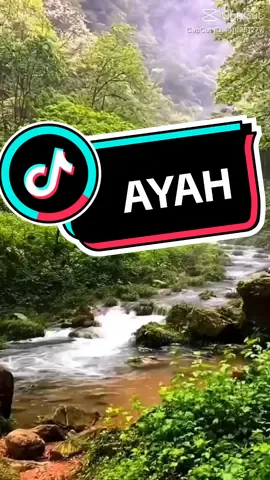 #ayahrindukamu #ayahrintoharahap #tembanglawas #tembangnostalgia #tembangkenangan #lagukenangan #lagunostalgia #lagunostalgiaindonesia #lagupopindonesia 