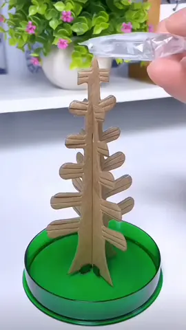 ต้นคริสต์มาสวิเศษ DIY ของเล่นเด็กต้น คริสต์มาสวิทยาศาสตร์ของขวัญเทศกาลคริสต์มาส#วันคริสต์มาส🌲❄️☃️ #คริสมาสต์ #ต้นคริสมาสต์ใส่น้ำ #fypシ #ฟีดดดシ #DIY #ต้นคริสต์มาส #ต้นคริสมาสต์ใส่น้ำ 