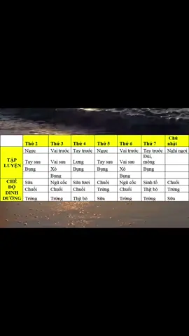 Lịch tập gym nam #gym #fyp #lịchtapchonguoimoi #Lịch Tập Gym Nam Mới Bắt đầu #xuhuong #xh #master2023bytiktok 
